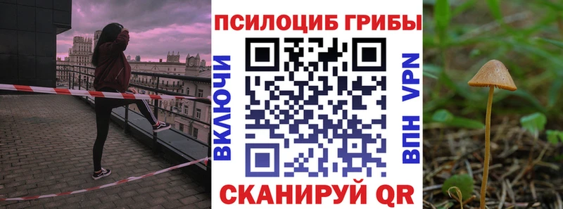 Псилоцибиновые грибы Magic Shrooms  гидра ССЫЛКА  Безенчук 